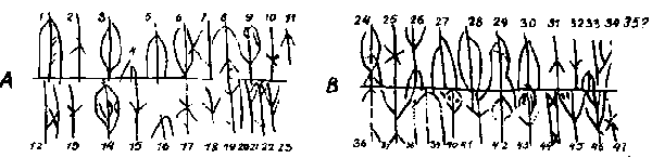 old_ladoga1.gif (6705 bytes)